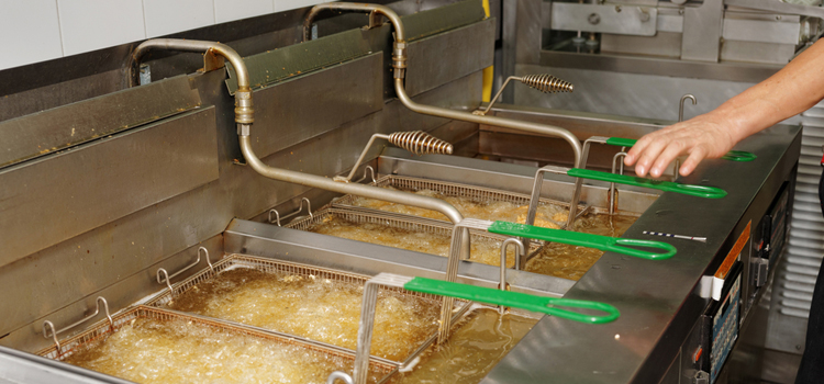 Ikea Commercial Fryer Repair in Welland