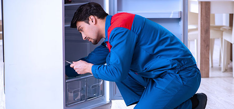 Avantgarde Freezer Repair Services in Welland